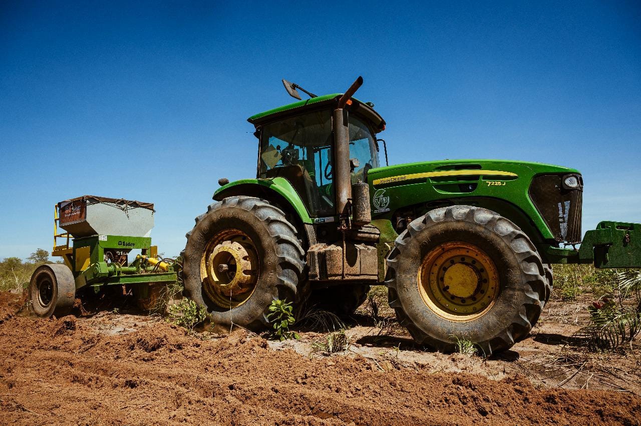 Dicas e Tendências do Setor Florestal para 2025