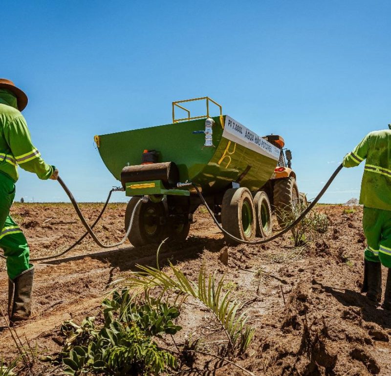 Manejo Florestal Sustentável: Como Maximizar a Produção Sem Prejudicar o Meio Ambiente