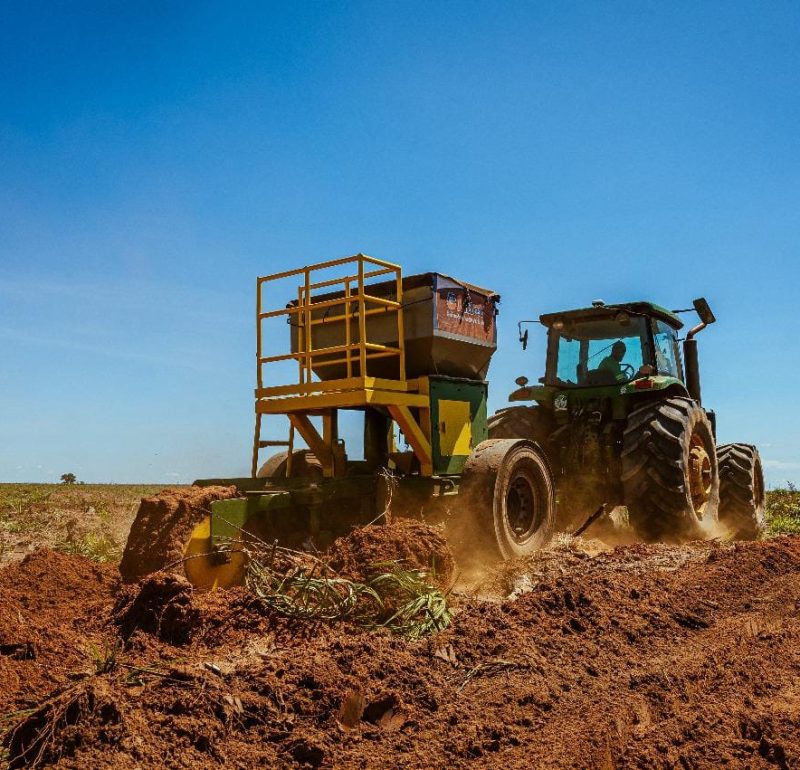 Gestão Agroflorestal: Como Alinhar Produtividade e Sustentabilidade