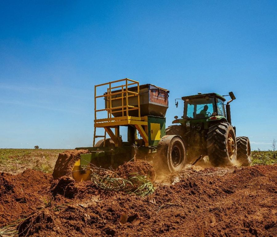 Gestão Agroflorestal: Como Alinhar Produtividade e Sustentabilidade